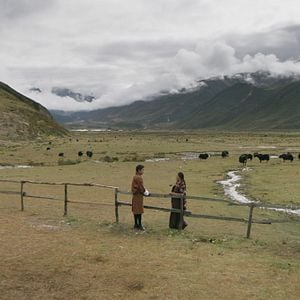 Foto Lunana: A Yak in the Classroom
