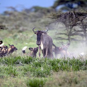 Foto Nuestro Planeta