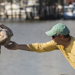 Foto La posesión de Mary
