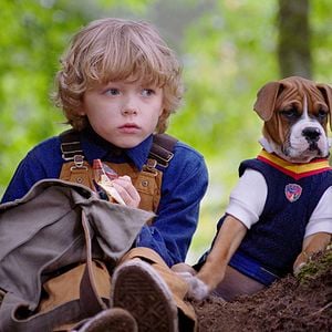 Foto Academia de cachorros