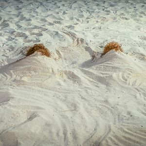 Foto Barb & Star Go to Vista Del Mar