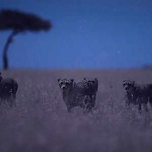 Foto La Tierra de noche