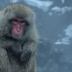 Foto La Tierra de noche