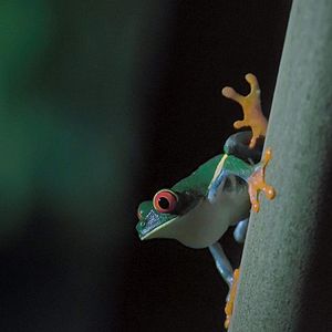 Foto La Tierra de noche