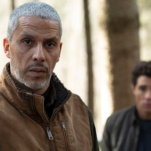 Foto Guerra en el aserradero