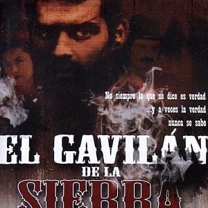 Foto El gavilán de la sierra