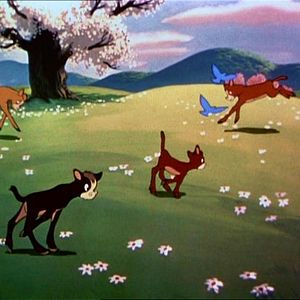 Foto Diversión y fantasía