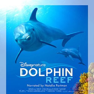 Foto Arrecife de delfines