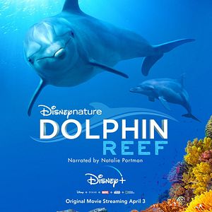 Foto Arrecife de delfines