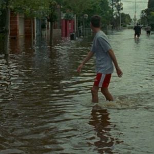 Foto El auge del humano