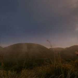 Foto El auge del humano