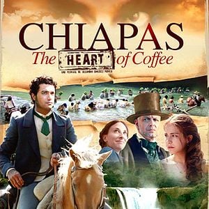 Foto Chiapas, el corazón del café