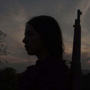 Foto El canto de las moscas