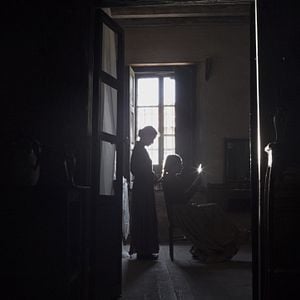 Foto El canto de las moscas