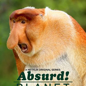 Foto Planeta absurdo