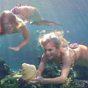 Foto Las sirenas de Mako