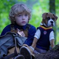 Foto Academia de cachorros