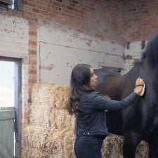 Foto A rienda suelta