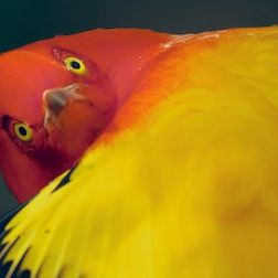 Foto Planeta absurdo