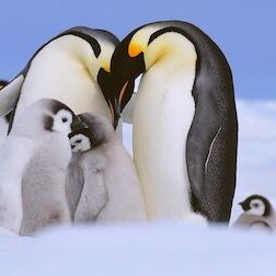 Foto Planeta absurdo