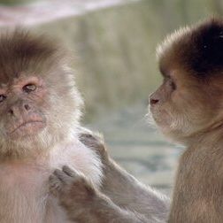 Foto Planeta absurdo