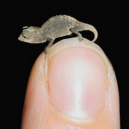 Foto Planeta absurdo