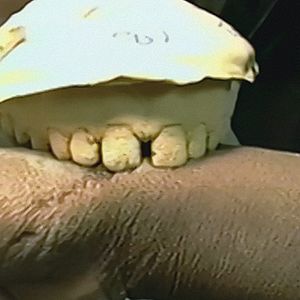 Foto The Innocence Files