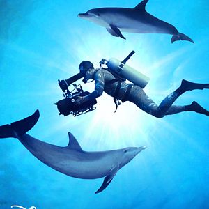 Foto Buceando con Delfines