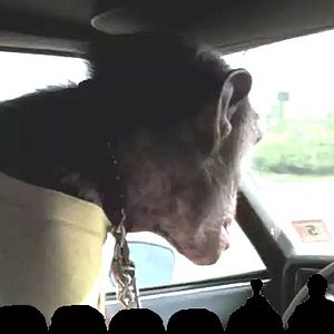 Foto Mystery Science Theater 3000: The Return