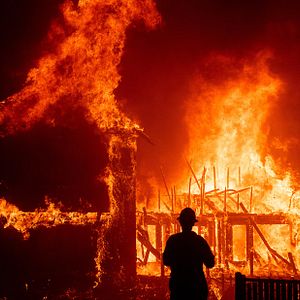 Foto Rebuilding Paradise