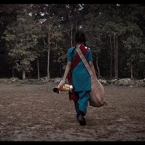 Foto Behind The Trees