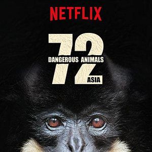 Foto 72 animales peligrosos: Asia