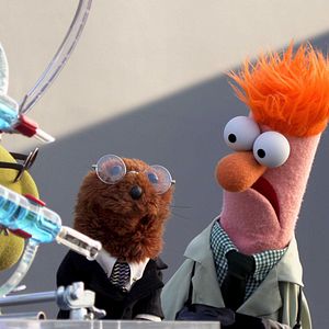 Foto Muppets Ahora