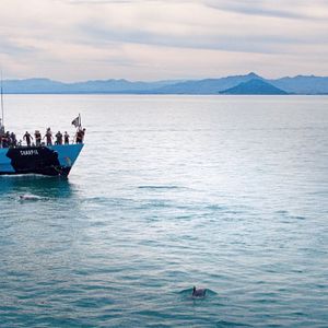 Foto SOS: Mar de Sombras