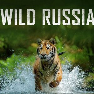 Foto Wild Russia