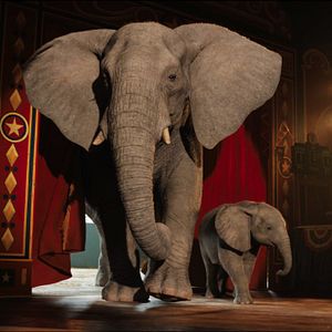 Foto El único y gran Iván