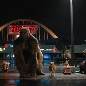 Foto El único y gran Iván