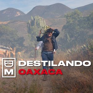 Foto Destilando México