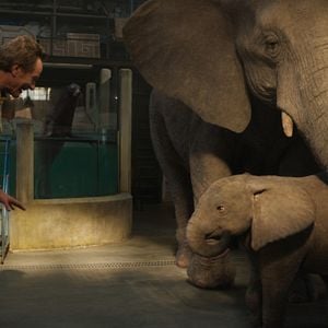 Foto El único y gran Iván