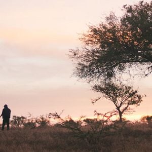 Foto Sin señas particulares
