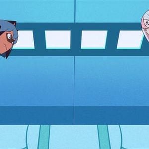 Foto BNA: Brand New Animal