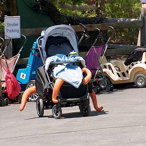 Foto Pixar en vida real