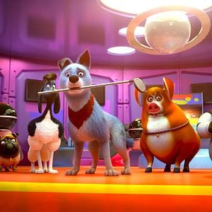 Foto Mascotas unidas