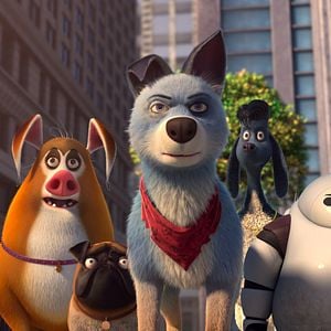 Foto Mascotas unidas