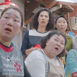 Foto When the Camellia Blooms