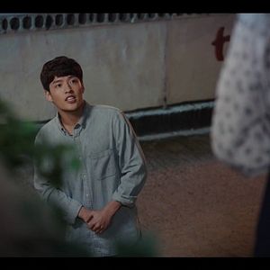 Foto When the Camellia Blooms