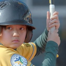 Foto When the Camellia Blooms