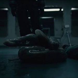 Foto Sputnik: Extraño pasajero