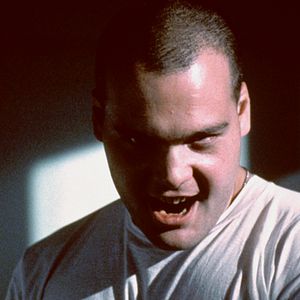 Foto Vincent D'Onofrio