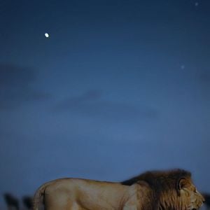 Foto Earth At Night In Color